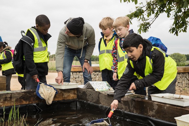 Primary School Pond Dipping (c) Penny Dixie